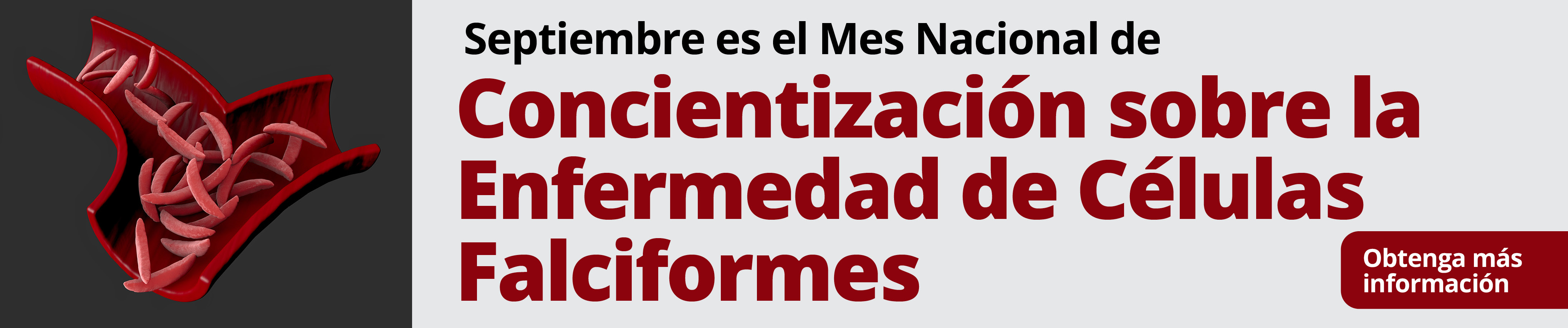 Septiembre es el Mes Nacional de Concientización sobre la Enfermedad de Células Falciformes