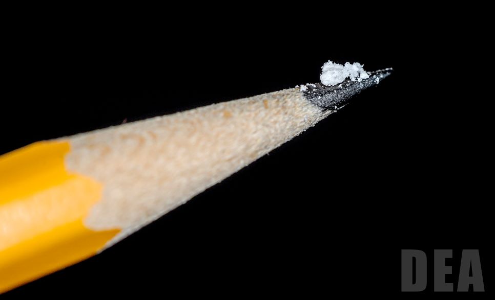 According to the Drug Enforcement Administration, 2 mg of fentanyl (which can fit on the tip of a pencil) can be enough to kill the average American. 