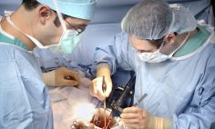 El Dr. Dorry Segev, a la derecha, realiza varios estudios sobre trasplantes de órganos con fondos de los Institutos Nacionales de la Salud.  