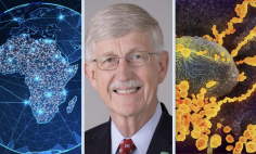 NIH's Instagram page features updates from leadership, like Director Francis S. Collins, M.D., Ph.D., and breaking research news.