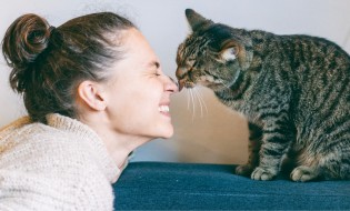 Allergens in cats’ saliva can trigger symptoms in people who are allergic. 