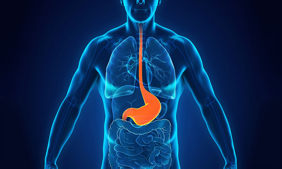 Acid reflux, Heartburn, and GERD: What's the difference? | NIH MedlinePlus Magazine