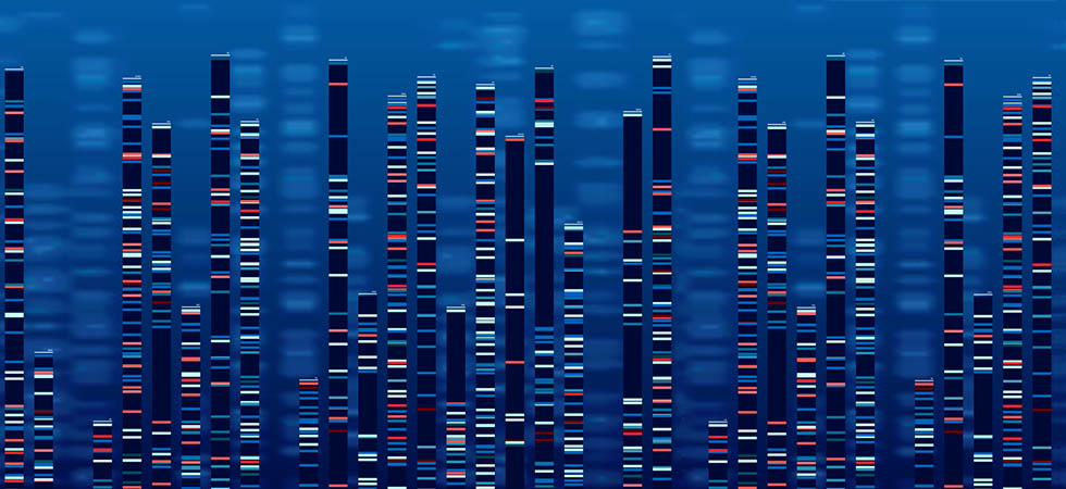 Los investigadores encontraron mutaciones en varios genes que parecen estar relacionadas con una forma más agresiva del rabdomiosarcoma (RMS) y con una menor probabilidad de supervivencia. 