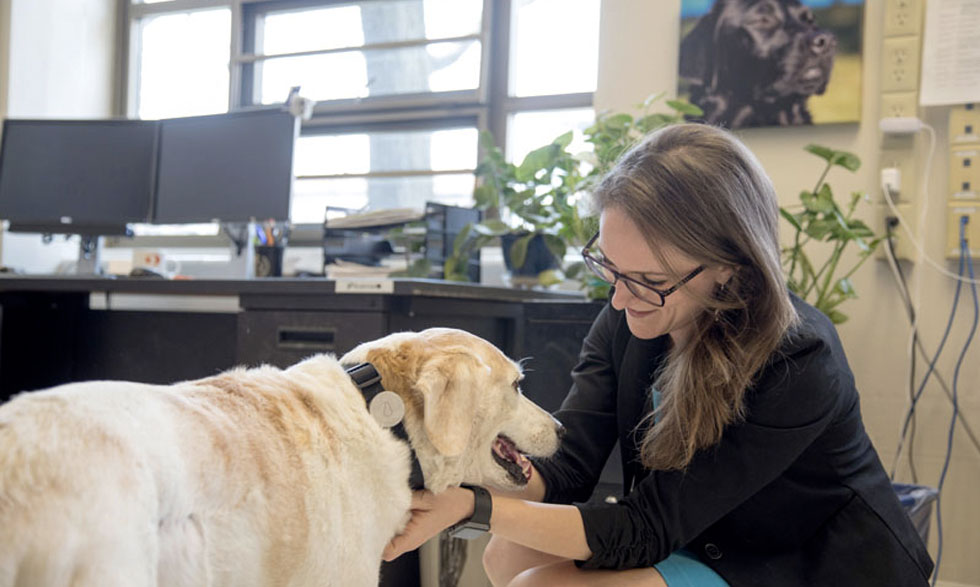 Marguerite E. O’Haire, Ph.D., is studying how service dogs can help veterans. 