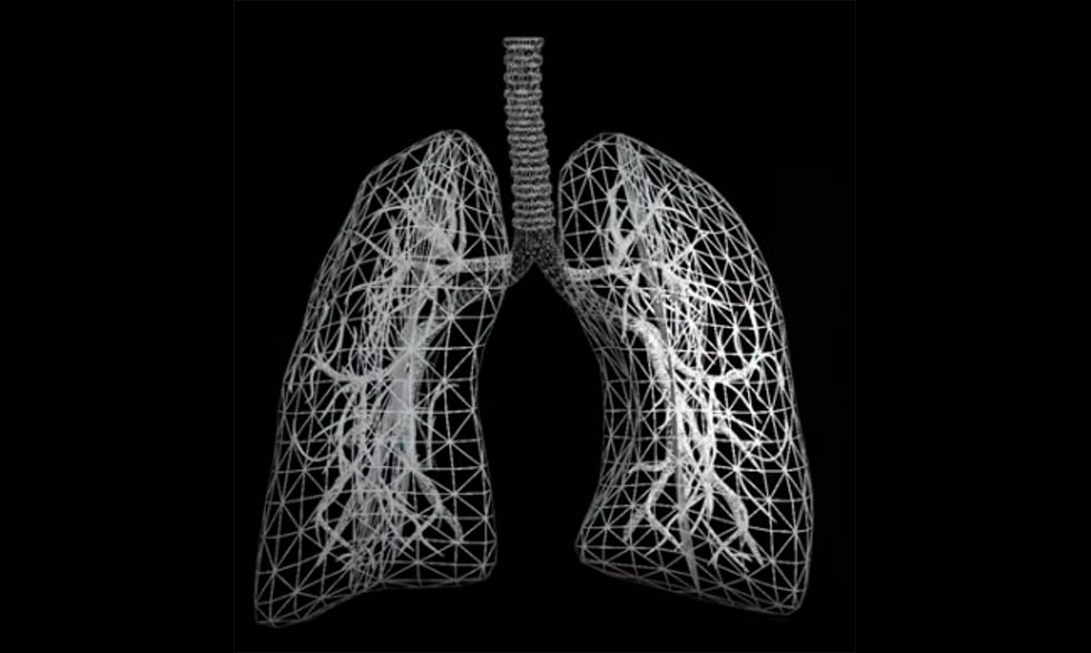 A video still of lung structures developed through tissue engineering.  