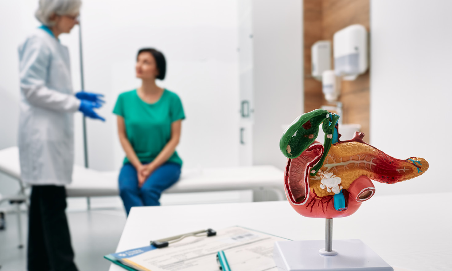 3D model of a pancreas cross section on a doctor’s desk with the doctor and patient talking in the background