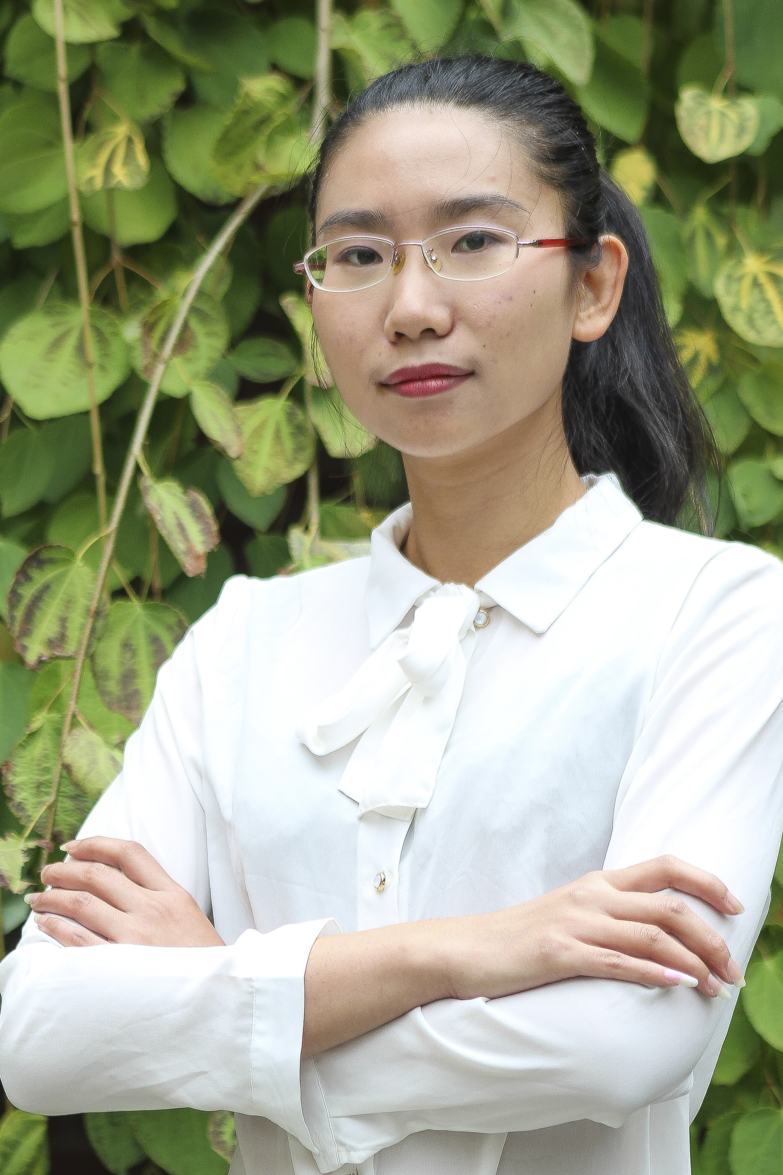 Dr. Shuai Xie
